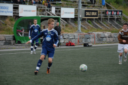 vvileidsvЖg2012 007